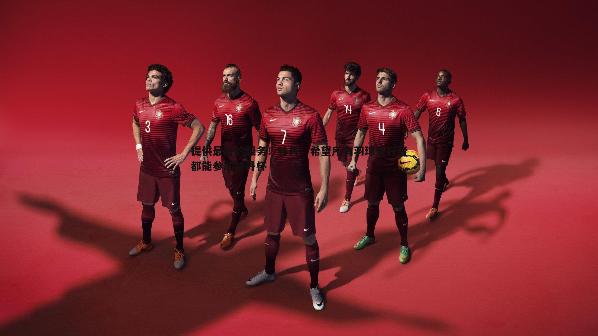 提供最好的服务!林丹:希望所有羽球爱好者都能参加林丹杯